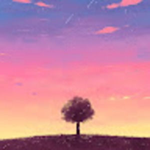 Meet your Posher, Alina